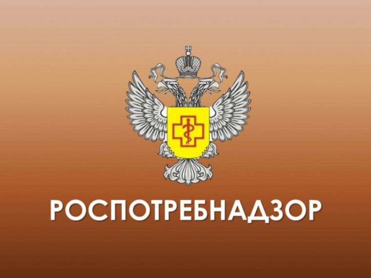 Горячая линия» по вопросам качества и безопасности детских товаров и школьных принадлежностей. Горячая линия» по вопросам качества и безопасности детских товаров и школьных принадлежностей.